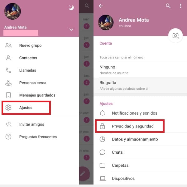 Telegram modo invisible 