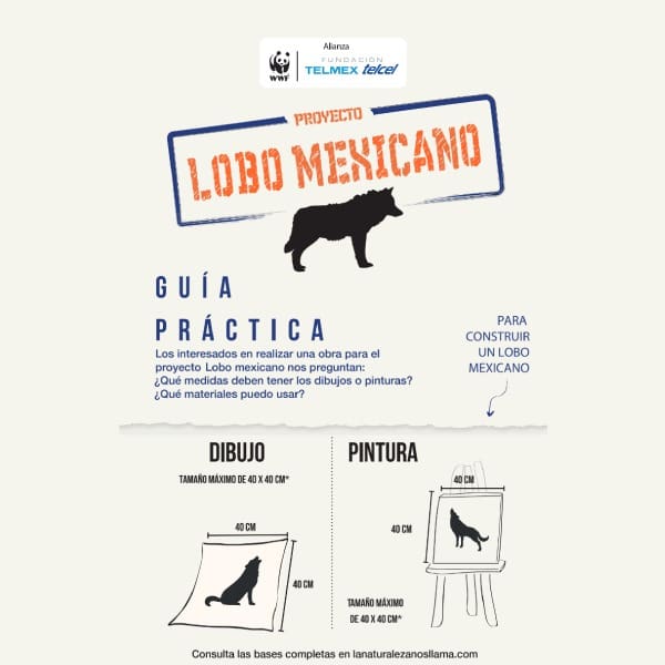 proyecto ‘Lobo Mexicano’