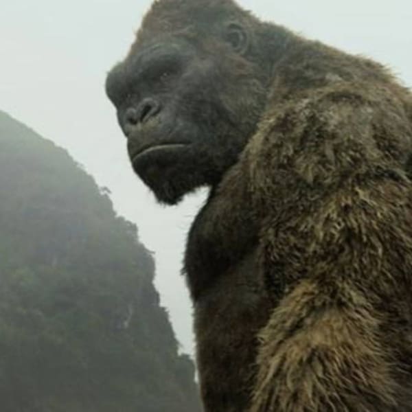 Kong la isla calavera