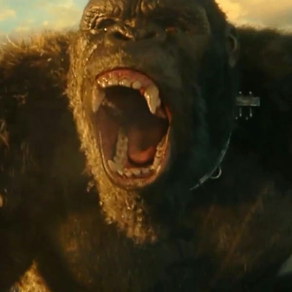 Kong nuevo trailer película 