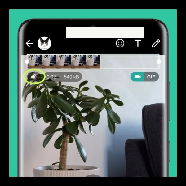 videos silenciados en whatsapp