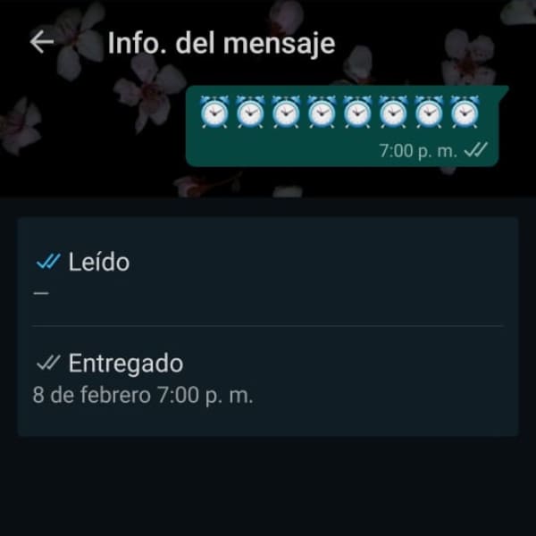 Cómo ver a qué hora se leyó un mensaje de WhatsApp 