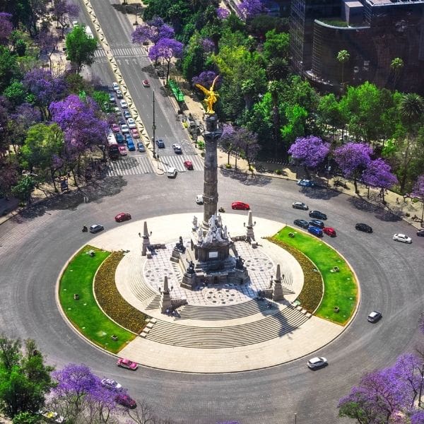 Primavera ángel de la independencia Ciudad de México 