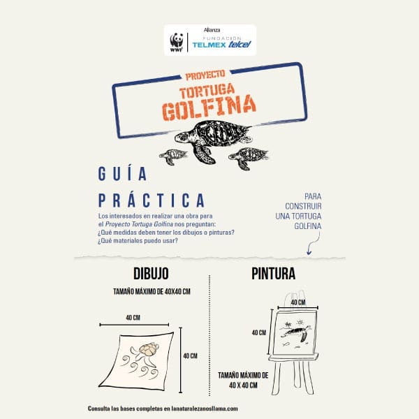 proyecto tortuga golfina