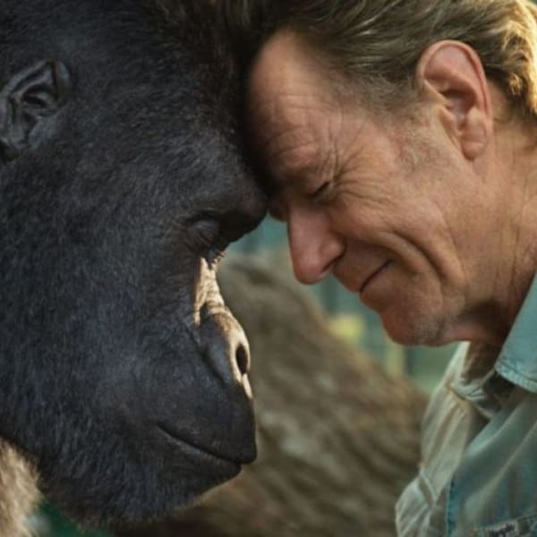 El magnífico Iván Bryan Cranston 