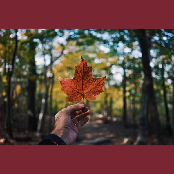 Canadá busca mexicanos para trabajar en Québec con clases de francés