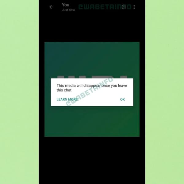 Mensaje de que las imágenes desaparecerán al salir del chat 
