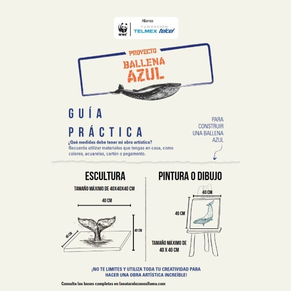 proyecto ballena azul