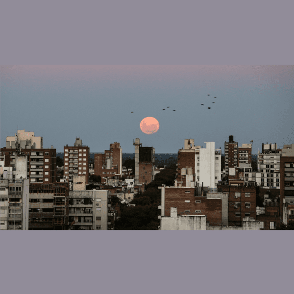 las mejores imágenes de la Superluna Rosa