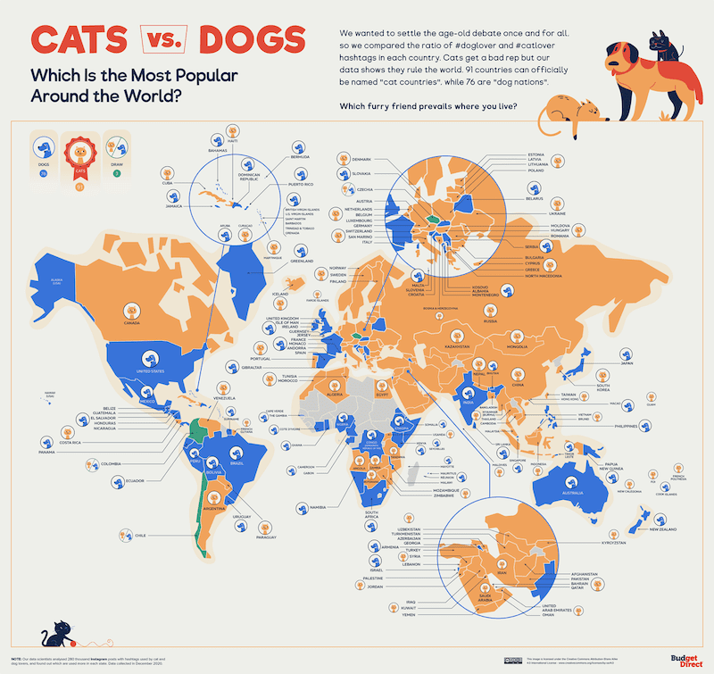 perros o gatos cuáles son más famosos en el mundo