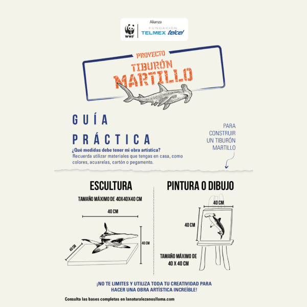 proyecto tiburon martillo