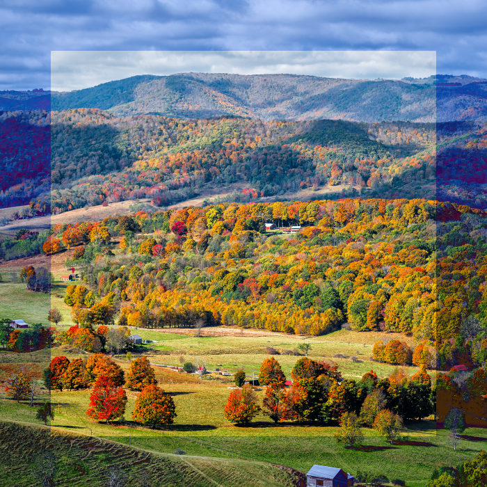 Virginia ofrece 12 mil dólares para vivir y trabajar ahí