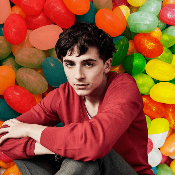 Timothée Chalamet será el nuevo Willy Wonka