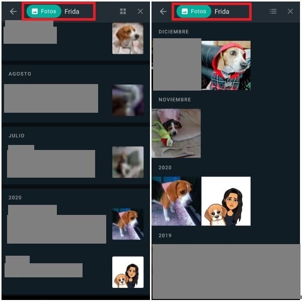 Ejemplo de búsqueda avanzada de WhatsApp con la palabra "Frida"- Blog HolaTelcel 