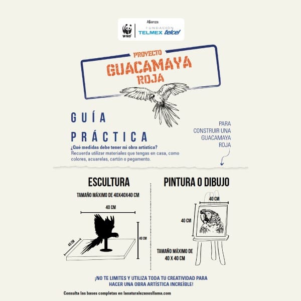 bases para proyecto guacamaya roja