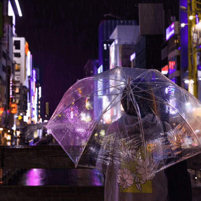 timelapse muestra el clima del año 2020 en menos de 10 minutos