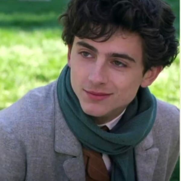 Timothée Chalamet, Mujercitas 