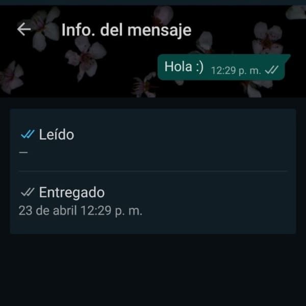 WhatsApp en visto truco hora exacta 