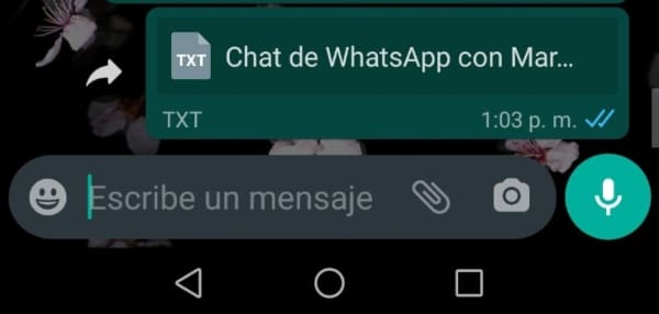 Chat de WhatsApp con 