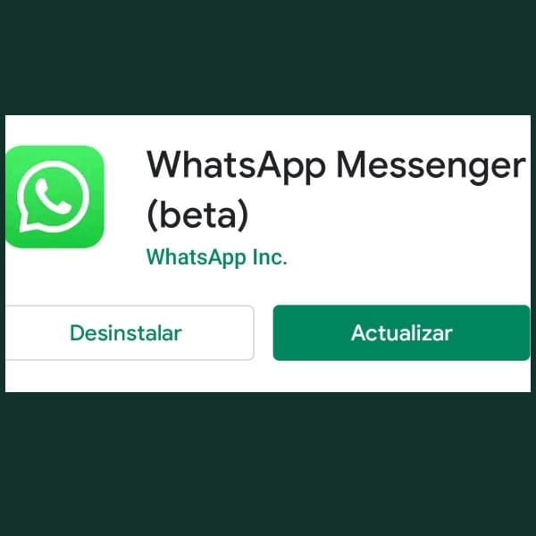 cómo descargar WhatsApp beta - blog hola telcel