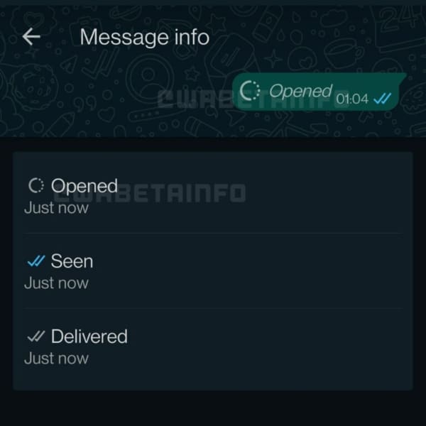 Información de mensaje de WhatsApp, con la nueva función de fotos y videos efímeros.- Blog Hola Telcel 