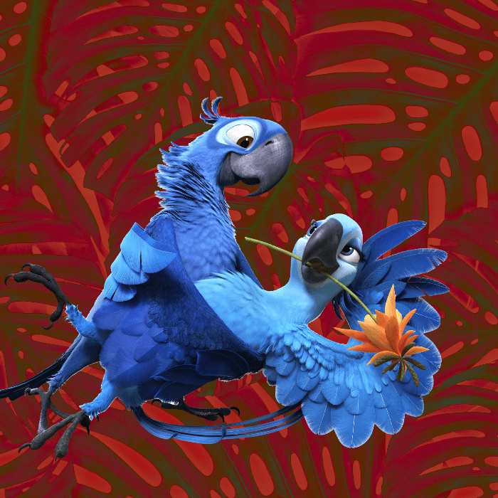 ¡Están de vuelta! Nace guacamayo azul que inspiró la película ‘Río’- Blog Hola Telcel