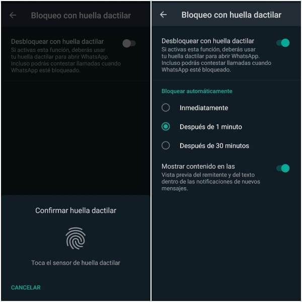 Paso a paso para activar el bloqueo con huella dactilar de WhatsApp.- Blog Hola Telcel 