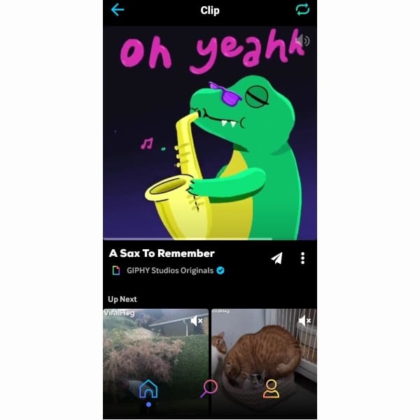 Clips en Giphy, nueva forma de agregar GIFs con sonido en WhatsApp.- Blog Hola Telcel 