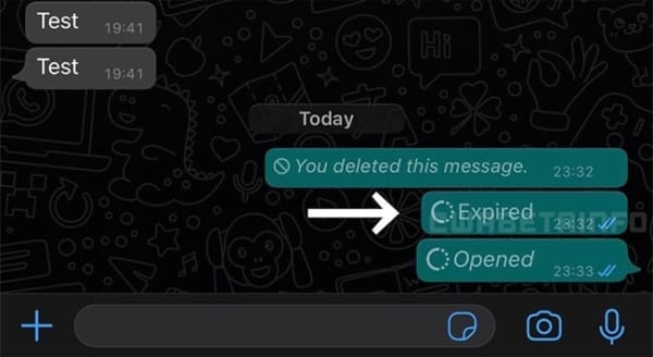 Fotos y videos que desaparecen son una de las funciones que llegarán a WhatsApp antes de que termine el año.- Blog Hola Telcel 