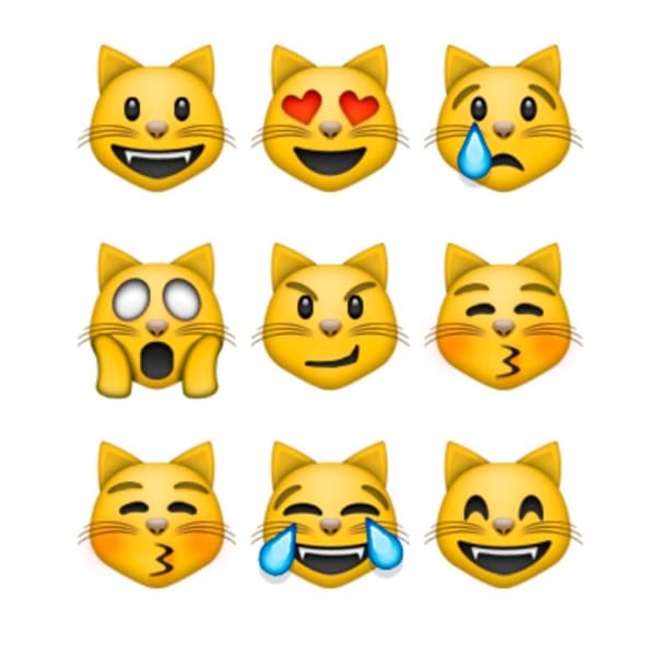 Nueve gatos de WhatsApp y su relación con las creencias egipcias.- Blog Hola Telcel