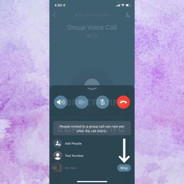 Nuevo diseño en las videollamadas de WhatsApp, con botones en la parte inferior y una lista de los contactos que participan.- Blog HolaTelcel 