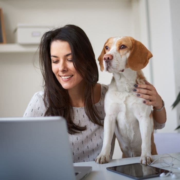 CURP para mascotas: ¿Qué es y cómo puedes registrar a tu perrito?- Blog Hola Telcel