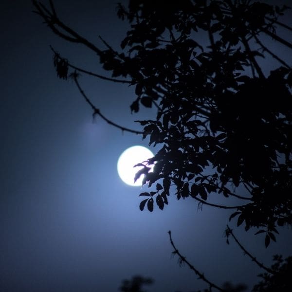 Luna de maíz en otoño, a finales de septiembre.- Blog Hola Telcel 