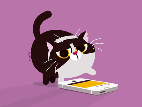 Gatito navegando en Instagram y viendo cuántos y a quiénes les ha dado likes con este ruco.- Blog Hola Telcel 