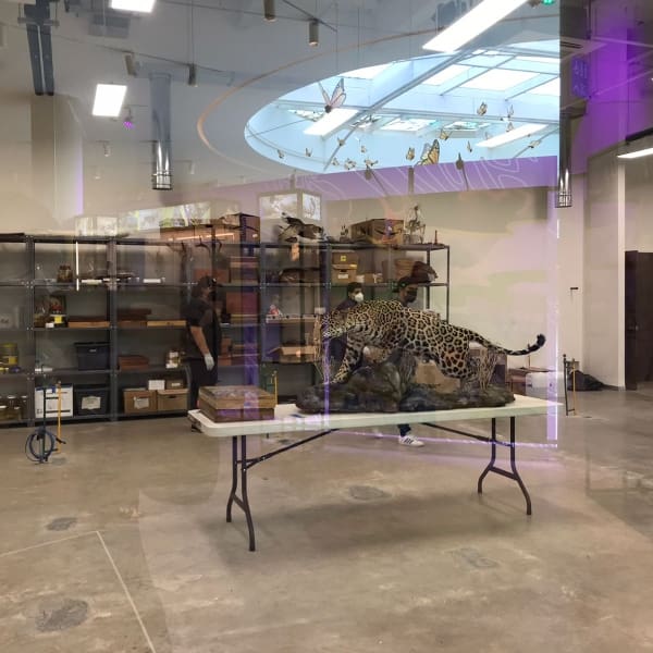 El nuevo Pabellón Nacional de la Biodiversidad en la UNAM es el más importante en toda Latinoamérica.- Blog Hola Telcel