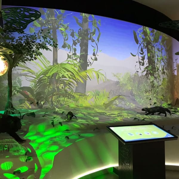 La Biblioteca Digital TELMEX- Telcel es un espacio dotado de la más alta tecnología.- Blog Hola Telcel 