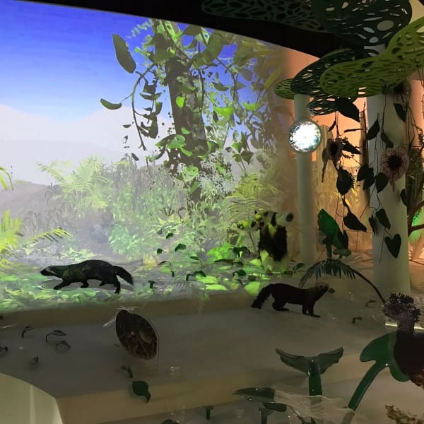 Doctor Mario Molina forma parte del Pabellón con un muro dedicado a sus ideas y aportes en la ciencia..- Blog Hola Telcel 