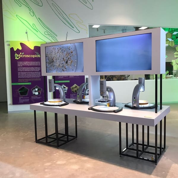  Carlos Slim Helú, presidente de la Fundación Carlos Slim, inauguraron este nuevo Pabellón Nacional de la Biodiversidad.- Blog Hola Telcel