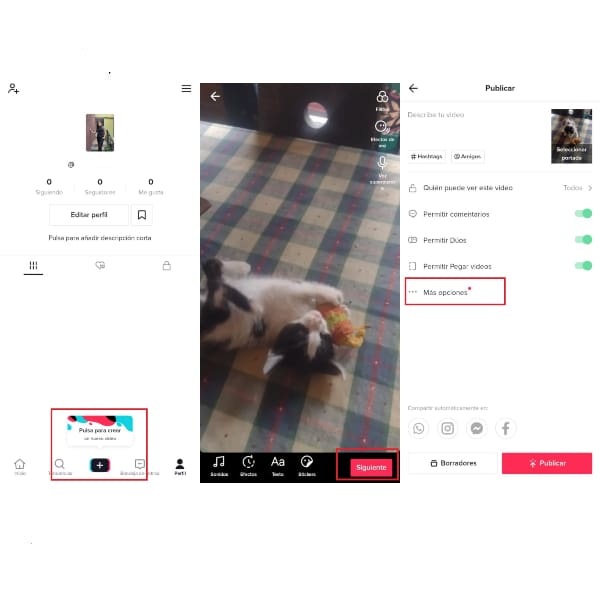 Subir video en HD a TikTok - Blog Hola Telcel