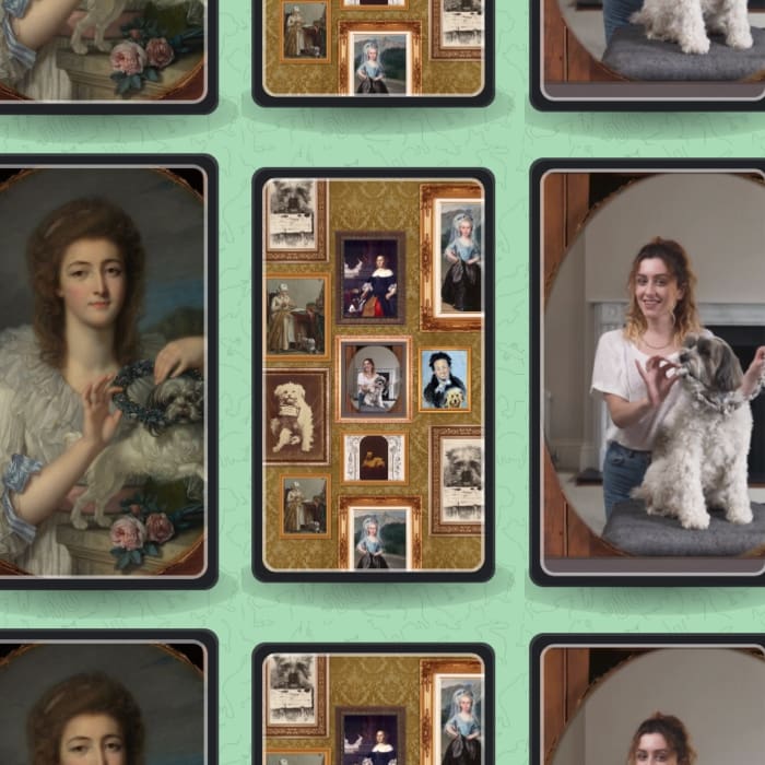 Convierte a tu mascota en obras de arte con Google - Blog Hola Telcel