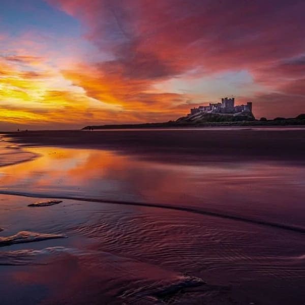 Concurso Fotógrafo Histórico del Año 2021 - Blog Hola Telcel