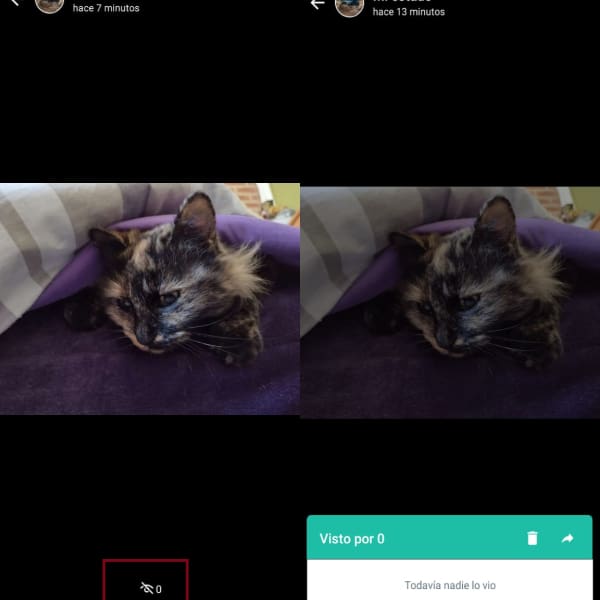 Una guía de cómo saber quiénes ven mis estados de WhatsApp - Blog Hola Telcel 