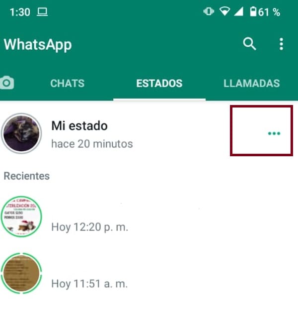 Cómo saber quién ve mis estados de WhatsApp - Blog Hola Telcel