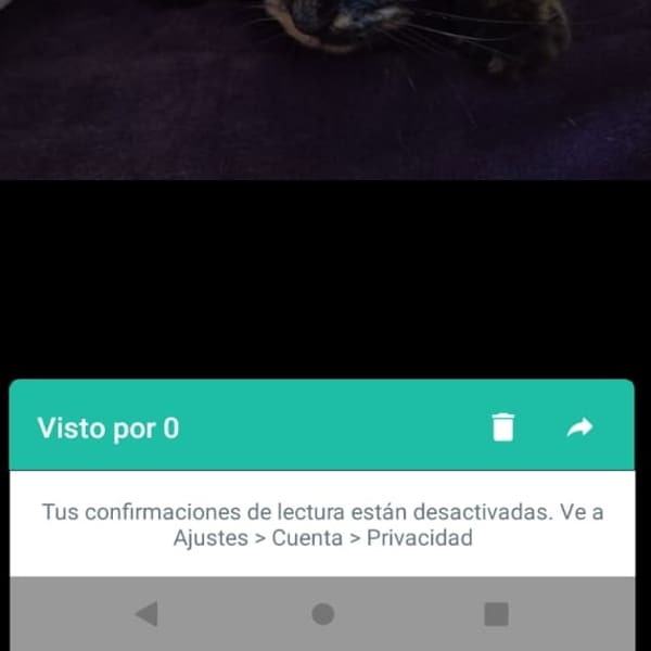 Guía paso a paso para conocer la lista de personas que han visto tu estado de WhatsApp recientemente - Blog Hola Telcel