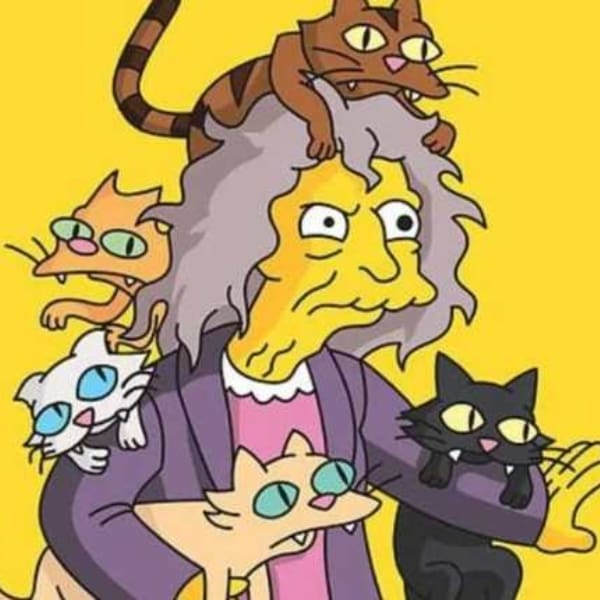 Uno de los TOC más divertidos y comúnes es la Fascinación por los gatos.- Blog Hola Telcel 