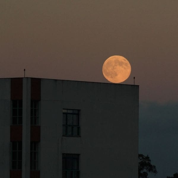 Superlunas y las fechas en las que ocurrirán durante el 2022.- Blog Hola Telcel 