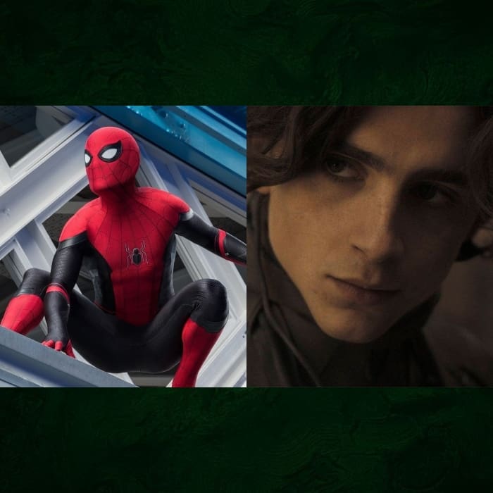 Tom Holland propone a Timothée Chalamet como el nuevo Harry Osborn.- Blog Hola Telcel