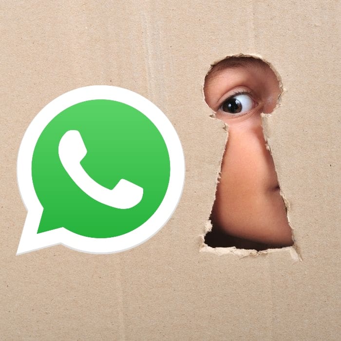 WhatsApp: ¿Cómo saber con quién más chatean tus contactos?- Blog Hola Telcel