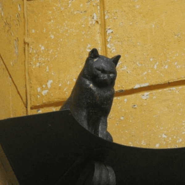 Vaska, el gato héroe de la Segunda Guerra Mundial.-Blog Hola Telcel