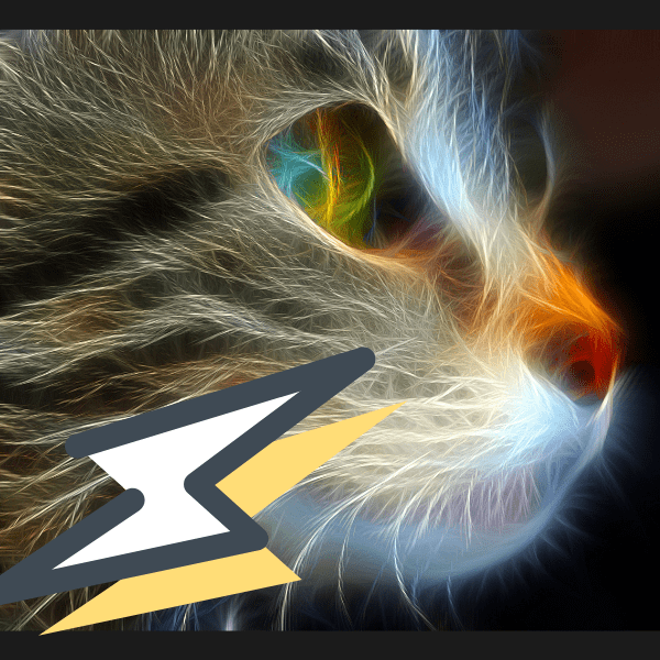 Conoce a Mackac, el gato que inspiró a Tesla para estudiar la electricidad.-Blog Hola Telcel